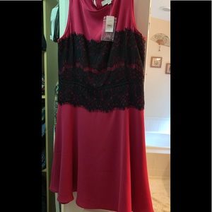 Loft Pink & Black Cocktail Dress NWT Size 12